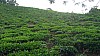 20170804_084625.jpg 20170804_084625.jpg