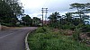 20170804_084649.jpg 20170804_084649.jpg