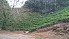 20170804_084757.jpg 20170804_084757.jpg