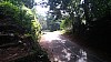 20170804_085040.jpg 20170804_085040.jpg