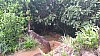 20170804_085349.jpg 20170804_085349.jpg