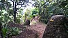 20170804_085517.jpg 20170804_085517.jpg