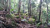 20170804_085936.jpg 20170804_085936.jpg
