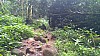 20170804_090736.jpg 20170804_090736.jpg