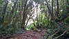 20170804_090920.jpg 20170804_090920.jpg