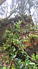 20170804_091639.jpg 20170804_091639.jpg