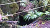 20170804_091753.jpg 20170804_091753.jpg