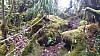 20170804_091758.jpg 20170804_091758.jpg