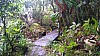 20170804_091904.jpg 20170804_091904.jpg