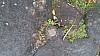 20170804_091946.jpg 20170804_091946.jpg