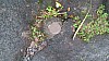 20170804_091949.jpg 20170804_091949.jpg