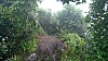 20170804_091953.jpg 20170804_091953.jpg