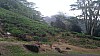 20170804_095724.jpg 20170804_095724.jpg