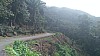 20170804_100002.jpg 20170804_100002.jpg