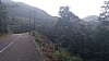 20170804_100044.jpg 20170804_100044.jpg