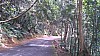 20170804_100324.jpg 20170804_100324.jpg