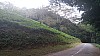 20170804_101113.jpg 20170804_101113.jpg