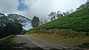 20170804_101300.jpg 20170804_101300.jpg