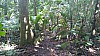 20170804_103145.jpg 20170804_103145.jpg