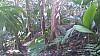 20170804_103211.jpg 20170804_103211.jpg