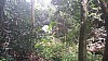 20170804_103625.jpg 20170804_103625.jpg