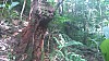 20170804_103833.jpg 20170804_103833.jpg