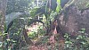 20170804_104420.jpg 20170804_104420.jpg