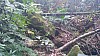 20170804_104424.jpg 20170804_104424.jpg