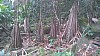 20170804_105304.jpg 20170804_105304.jpg