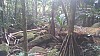 20170804_105433.jpg 20170804_105433.jpg