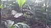 20170804_105437.jpg 20170804_105437.jpg