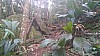 20170804_105658.jpg 20170804_105658.jpg