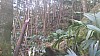 20170804_105705.jpg 20170804_105705.jpg