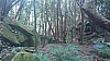 20170804_110044.jpg 20170804_110044.jpg
