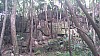 20170804_110054.jpg 20170804_110054.jpg