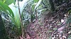 20170804_110444.jpg 20170804_110444.jpg