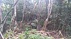 20170804_112247.jpg 20170804_112247.jpg
