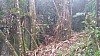 20170804_112342.jpg 20170804_112342.jpg