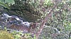 20170804_114449.jpg 20170804_114449.jpg