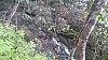 20170804_114453.jpg 20170804_114453.jpg