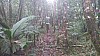 20170804_115405.jpg 20170804_115405.jpg