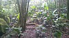 20170804_120308.jpg 20170804_120308.jpg