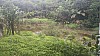 20170804_120613.jpg 20170804_120613.jpg