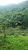 20170804_121133.jpg 20170804_121133.jpg