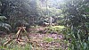 20170804_121307.jpg 20170804_121307.jpg