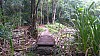 20170804_121332.jpg 20170804_121332.jpg