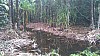 20170804_121354.jpg 20170804_121354.jpg