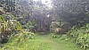 20170804_121703.jpg 20170804_121703.jpg