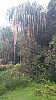 20170804_121718.jpg 20170804_121718.jpg