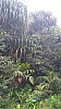 20170804_121721.jpg 20170804_121721.jpg